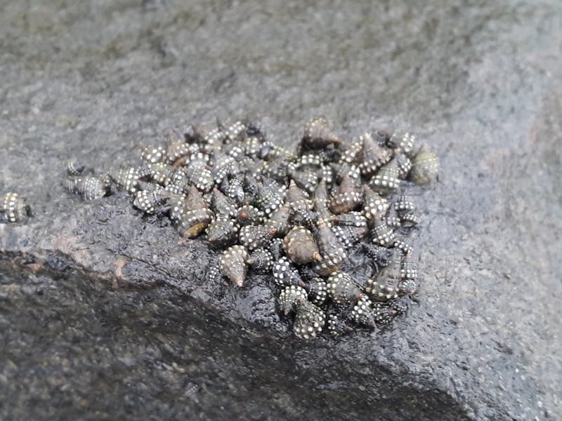 香港敏感皮facial推薦 2026 | 敏感肌護膚療程完整攻略